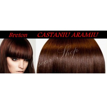 Breton Castaniu Aramiu